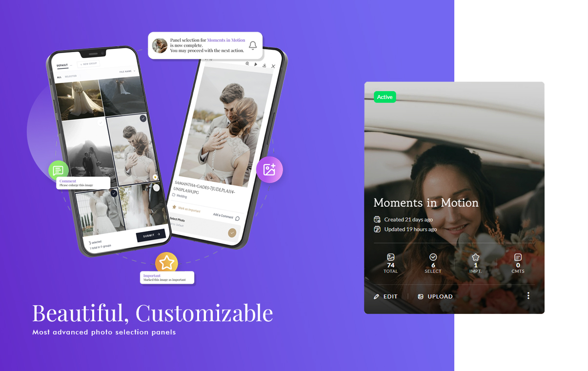 PicPick Client Selection Panel Dashboard